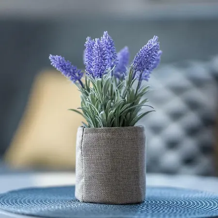 Apartment Welcome *